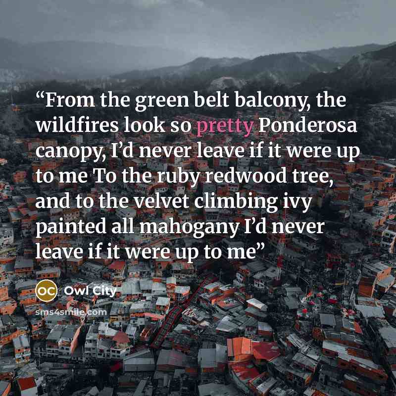 “From the green belt balcony, the wildfires look so pretty Ponderosa canopy, I’d never leave if it were up to me To the ruby redwood tree, and to the velvet climbing ivy painted all mahogany I’d never leave if it were up to me” quote by Owl City