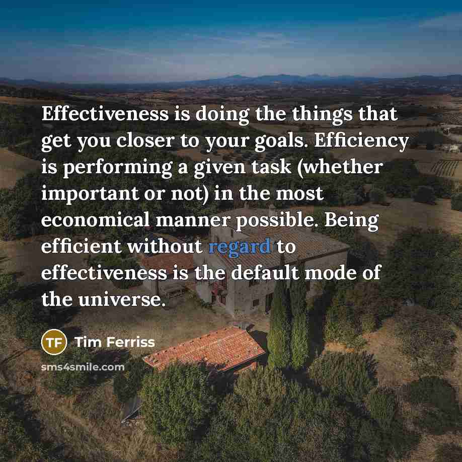 “Effectiveness is doing the things that get you closer to your goals. Efficiency is performing a given task (whether important or not) in the most economical manner possible. Being efficient without regard to effectiveness is the default mode of the universe.” quote by Tim Ferriss