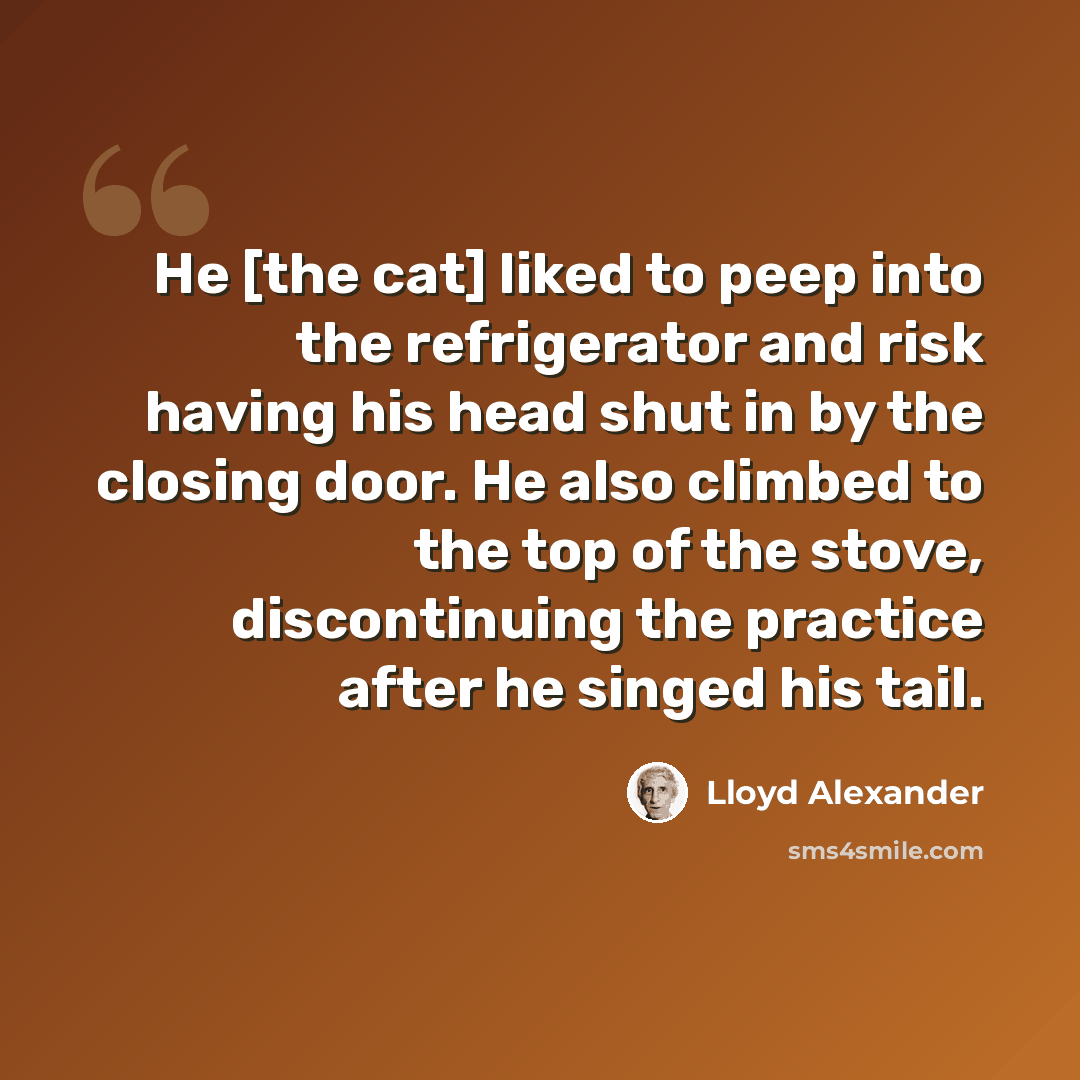 “He [the cat] liked to peep into the refrigerator and risk having his head shut in by the closing door. He also climbed to the top of the stove, discontinuing the practice after he singed his tail.” quote by Lloyd Alexander
