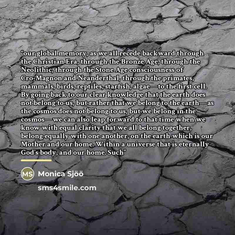“our global memory, as we all recede backward through the Christian Era, through the Bronze Age, through the Neolithic, through the Stone Age consciousness of Cro-Magnon and Neanderthal, through the primates, mammals, birds, reptiles, starfish, algae—to the first cell. By going back to our clear…” quote by Monica Sjöö