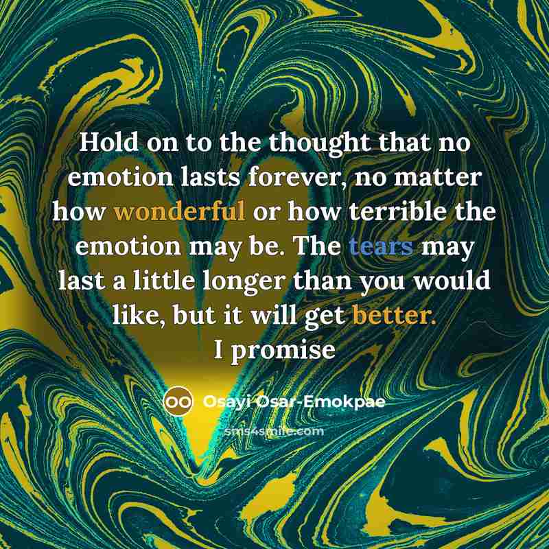 “Hold on to the thought that no emotion lasts forever, no matter how wonderful or how terrible the emotion may be. The tears may last a little longer than you would like, but it will get better. I promise” quote by Osayi Osar-Emokpae