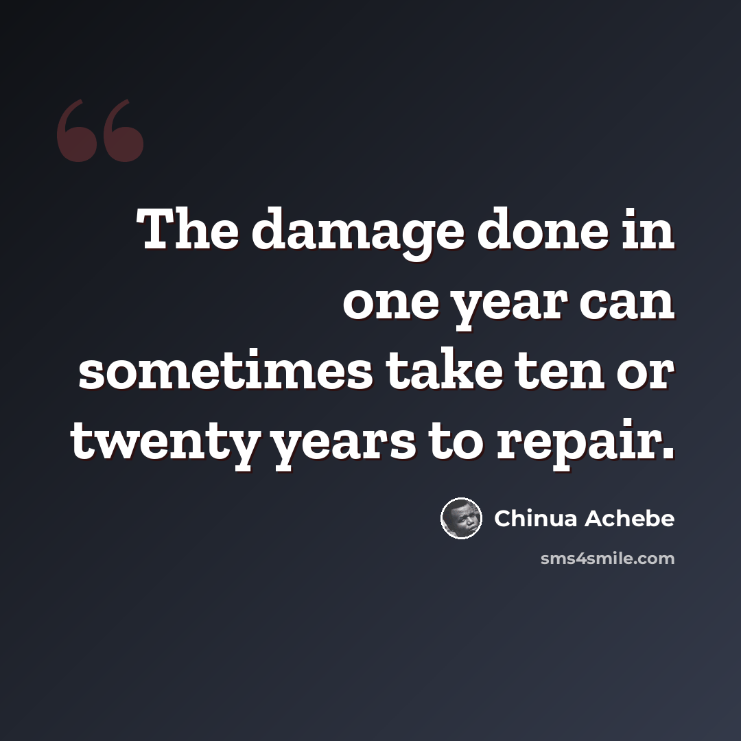 “The damage done in one year can sometimes take ten or twenty years to repair.” quote by Chinua Achebe