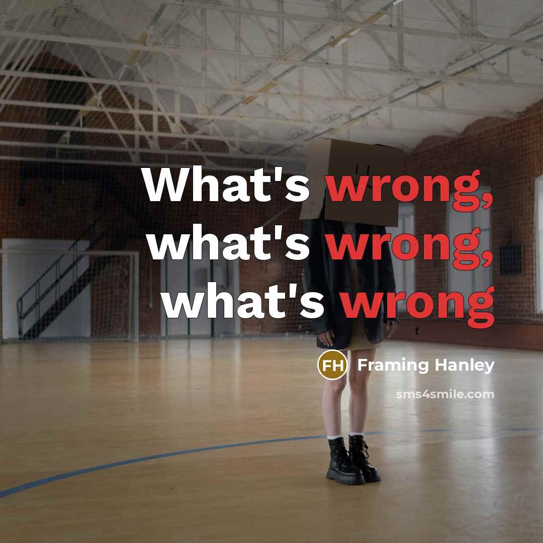 “What's wrong, what's wrong, what's wrong” quote by Framing Hanley