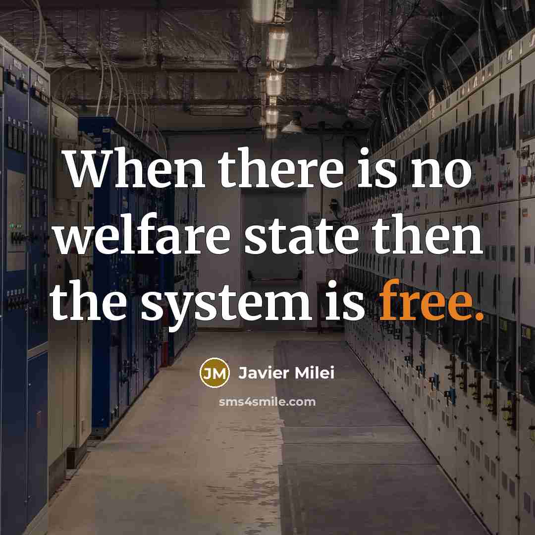“When there is no welfare state then the system is free.” quote by Javier Milei