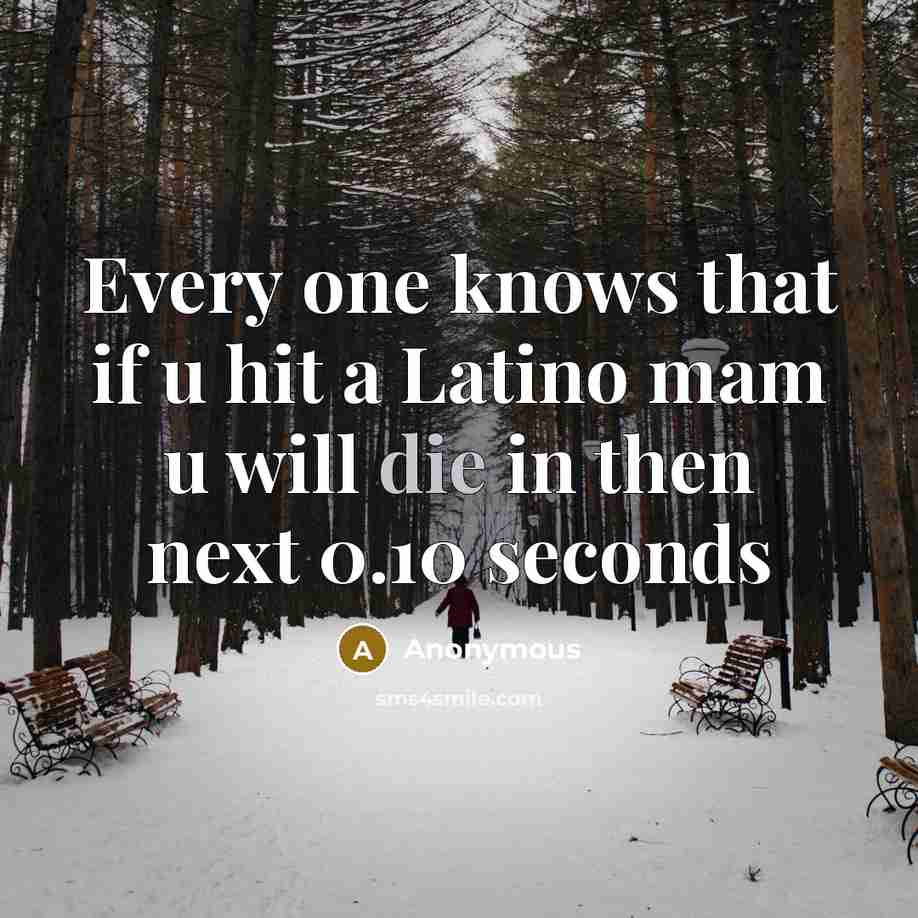 “Every one knows that if u hit a Latino mam u will die in then next 0.10 seconds” quote by Anonymous