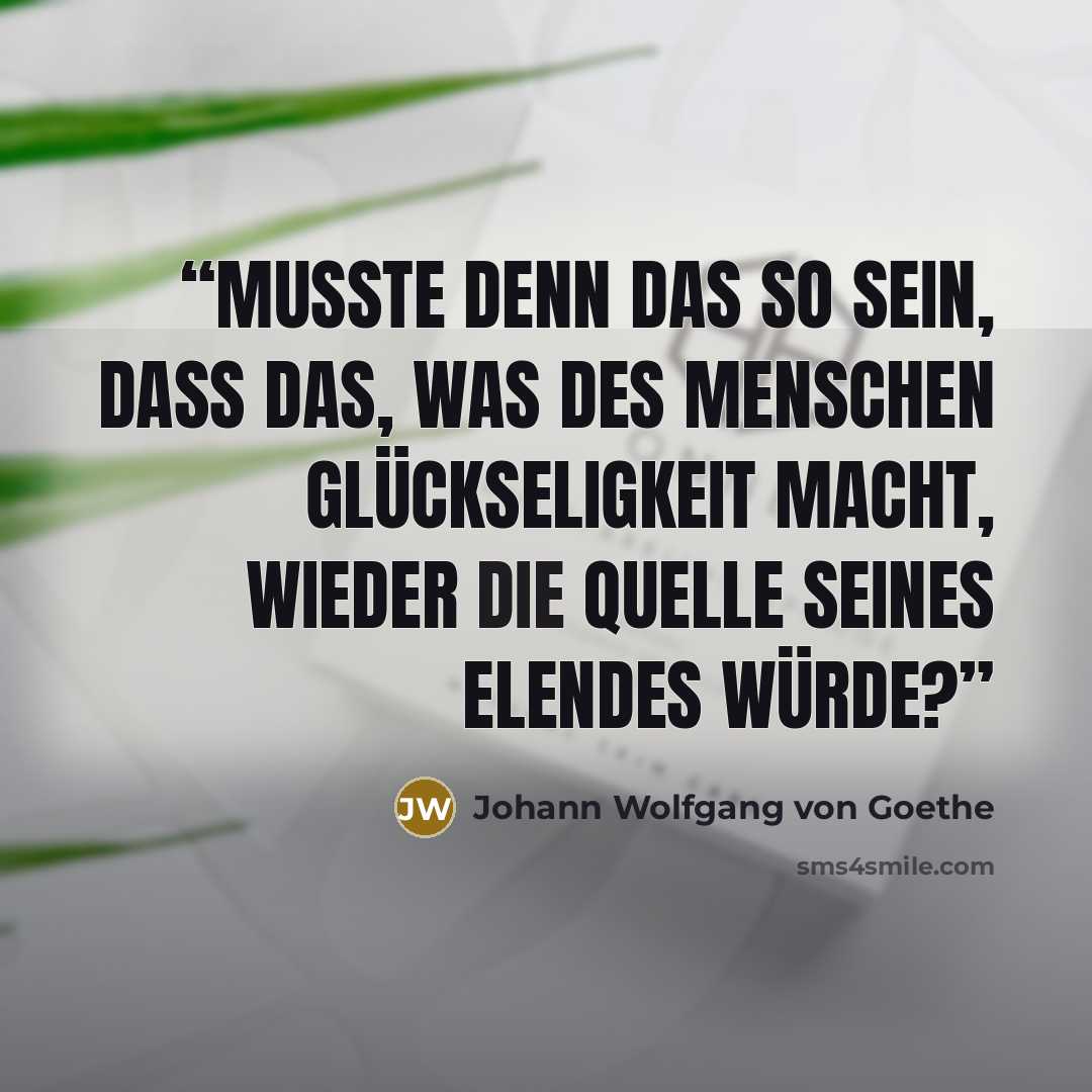 “Mußte denn das so sein, daß das, was des Menschen Glückseligkeit macht, wieder die Quelle seines Elendes würde?” quote by Johann Wolfgang von Goethe