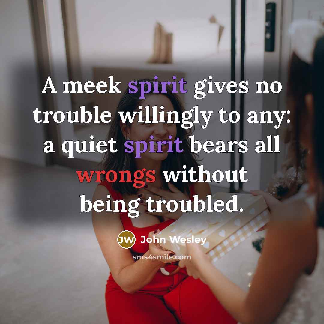 “A meek spirit gives no trouble willingly to any: a quiet spirit bears all wrongs without being troubled.” quote by John Wesley