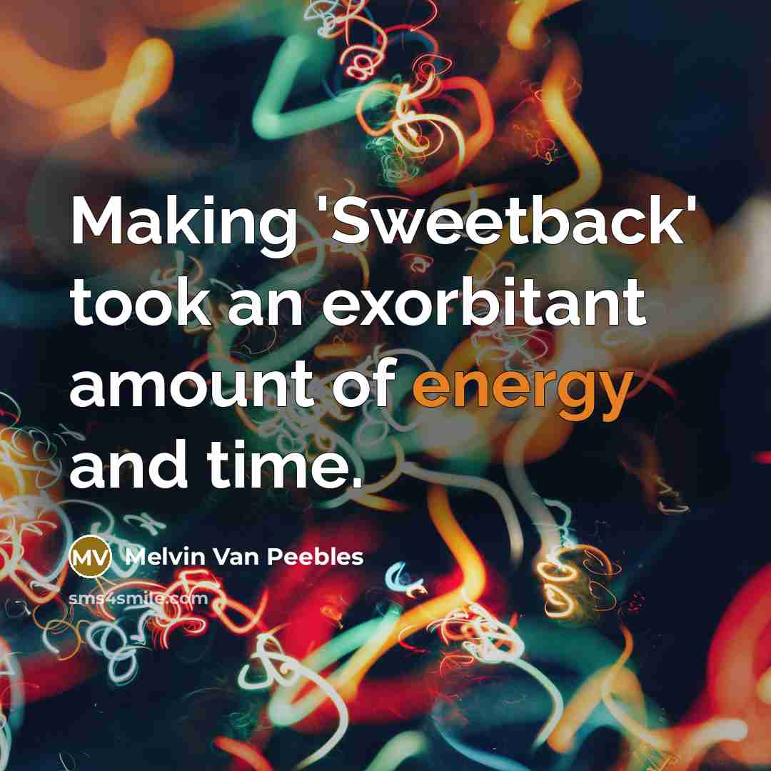 “Making 'Sweetback' took an exorbitant amount of energy and time.” quote by Melvin Van Peebles
