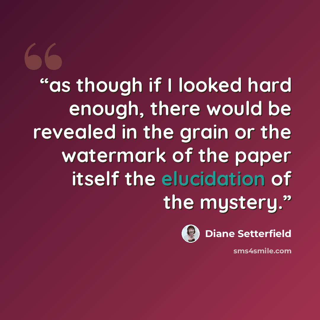 “as though if I looked hard enough, there would be revealed in the grain or the watermark of the paper itself the elucidation of the mystery.” quote by Diane Setterfield