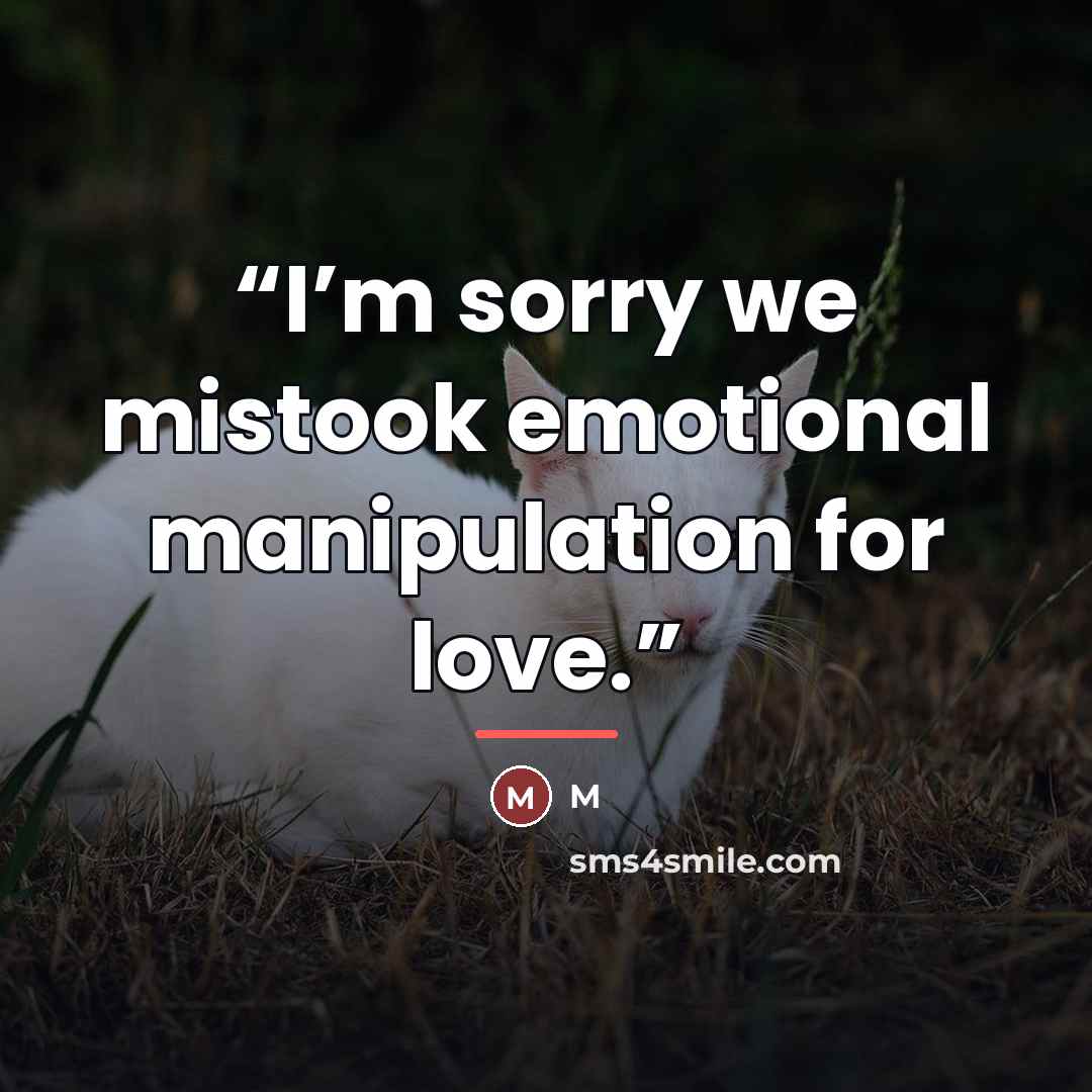 “I’m sorry we mistook emotional manipulation for love.” quote by M