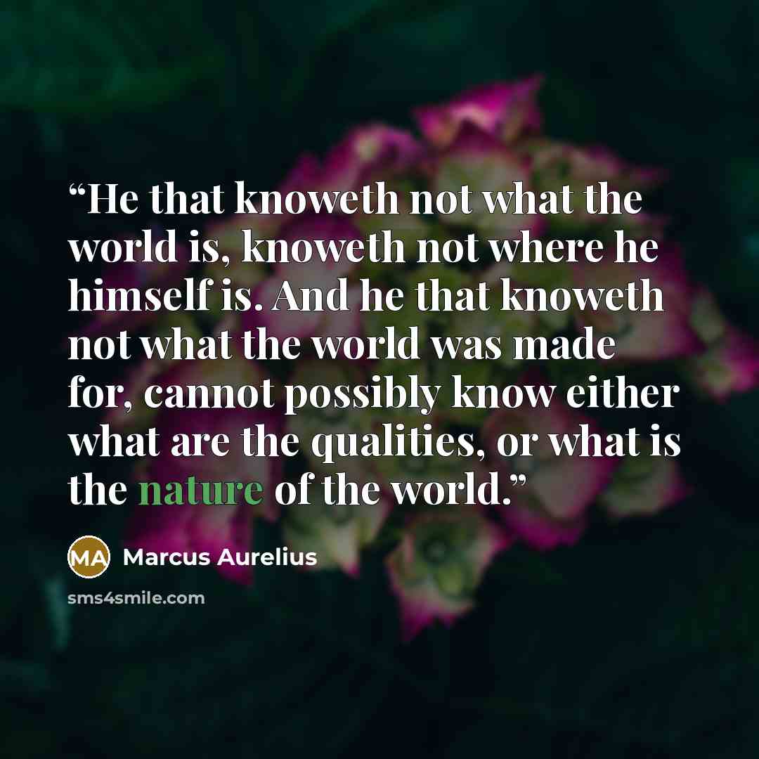 “He that knoweth not what the world is, knoweth not where he himself is. And he that knoweth not what the world was made for, cannot possibly know either what are the qualities, or what is the nature of the world.” quote by Marcus Aurelius