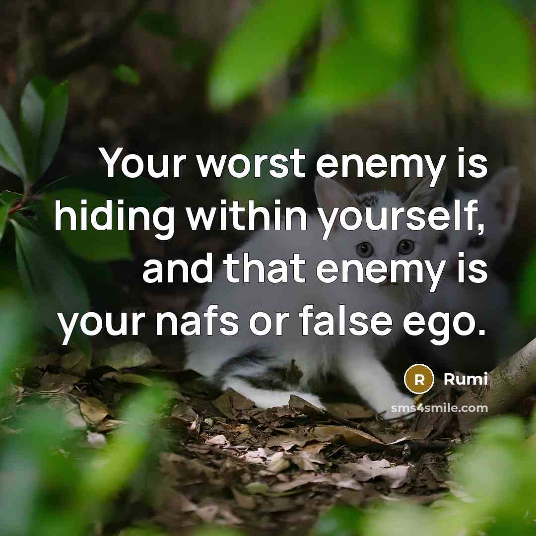 “Your worst enemy is hiding within yourself, and that enemy is your nafs or false ego.” quote by Rumi