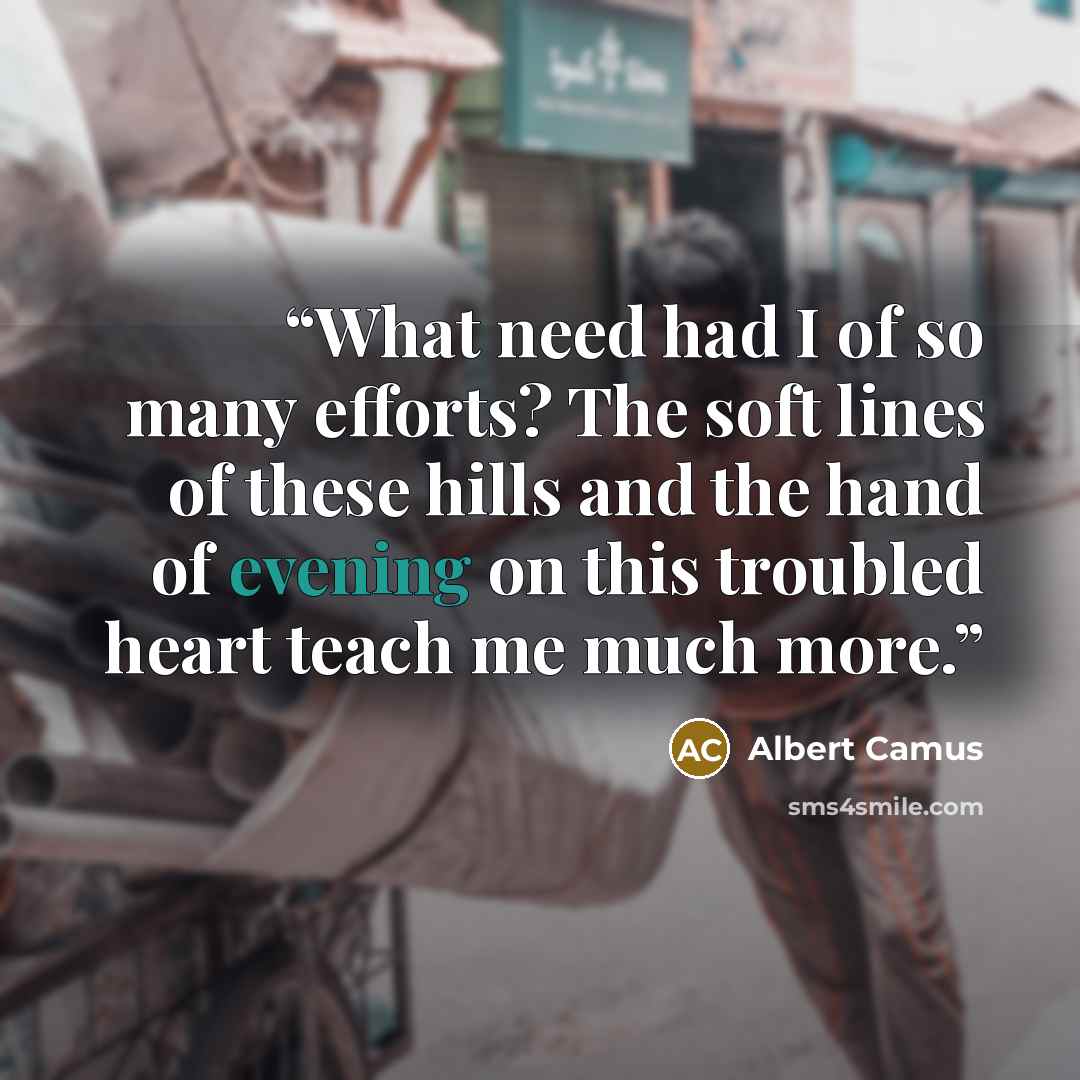 “What need had I of so many efforts? The soft lines of these hills and the hand of evening on this troubled heart teach me much more.” quote by Albert Camus