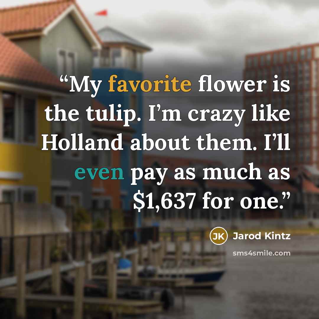 “My favorite flower is the tulip. I’m crazy like Holland about them. I’ll even pay as much as $1,637 for one.” quote by Jarod Kintz