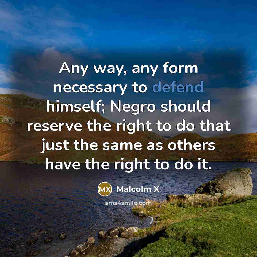 “Any way, any form necessary to defend himself; Negro should reserve the right to do that just the same as others have the right to do it.” quote by Malcolm X
