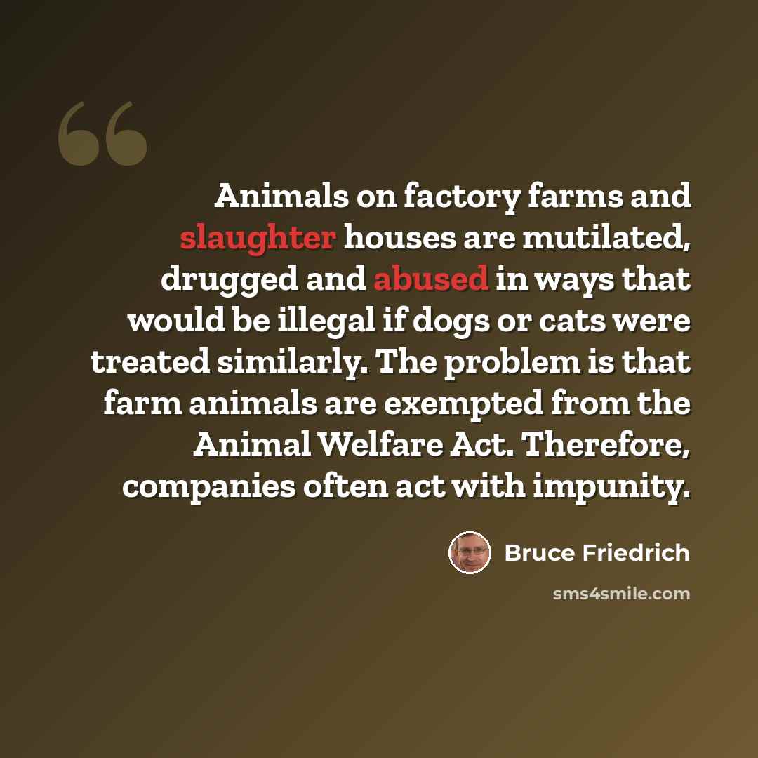 “Animals on factory farms and slaughter houses are mutilated, drugged and abused in ways that would be illegal if dogs or cats were treated similarly. The problem is that farm animals are exempted from the Animal Welfare Act. Therefore, companies often act with impunity.” quote by Bruce Friedrich