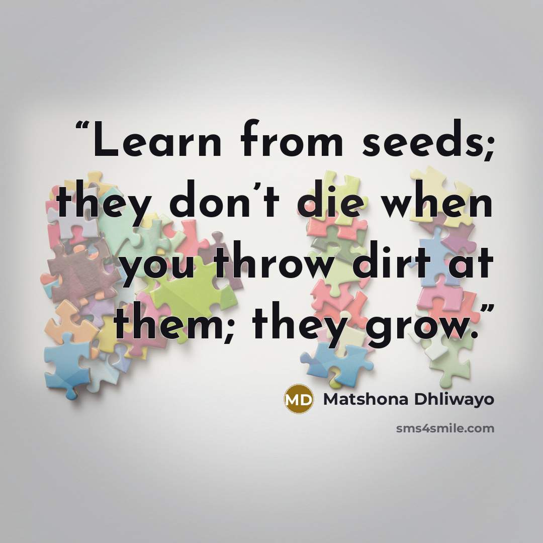 “Learn from seeds; they don’t die when you throw dirt at them; they grow.” quote by Matshona Dhliwayo