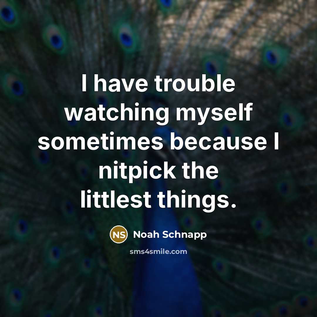 “I have trouble watching myself sometimes because I nitpick the littlest things.” quote by Noah Schnapp
