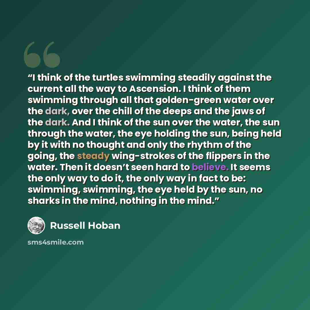 “I think of the turtles swimming steadily against the current all the way to Ascension. I think of them swimming through all that golden-green water over the dark, over the chill of the deeps and the jaws of the dark. And I think of the sun over the water, the sun through the water, the eye holding…” quote by Russell Hoban