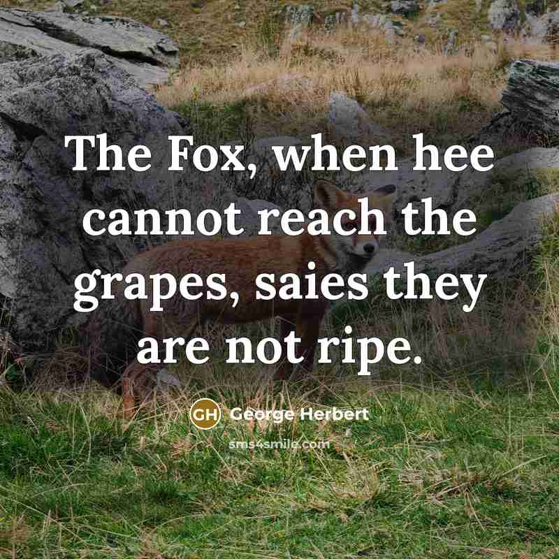 “The Fox, when hee cannot reach the grapes, saies they are not ripe.” quote by George Herbert