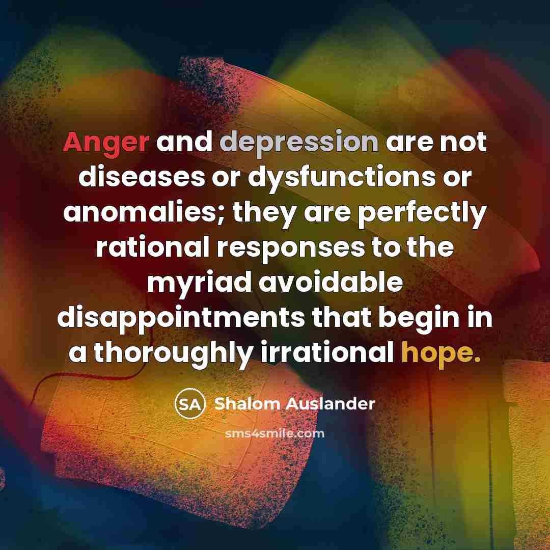 “Anger and depression are not diseases or dysfunctions or anomalies; they are perfectly rational responses to the myriad avoidable disappointments that begin in a thoroughly irrational hope.” quote by Shalom Auslander