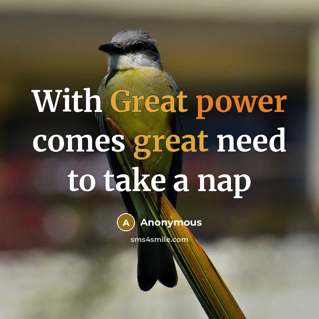 “With Great power comes great need to take a nap” quote by Anonymous