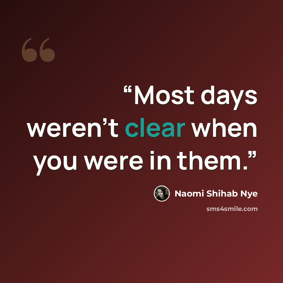 “Most days weren't clear when you were in them.” quote by Naomi Shihab Nye