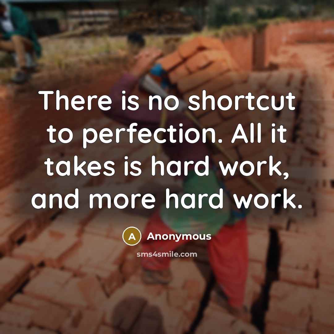 “There is no shortcut to perfection. All it takes is hard work, and more hard work.” quote by Anonymous