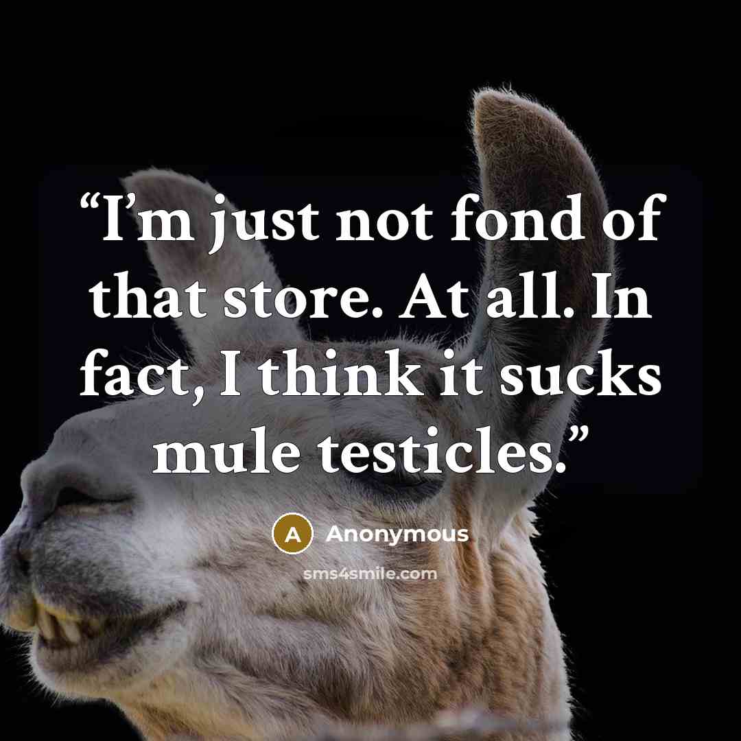 “I’m just not fond of that store. At all. In fact, I think it sucks mule testicles.” quote by Anonymous