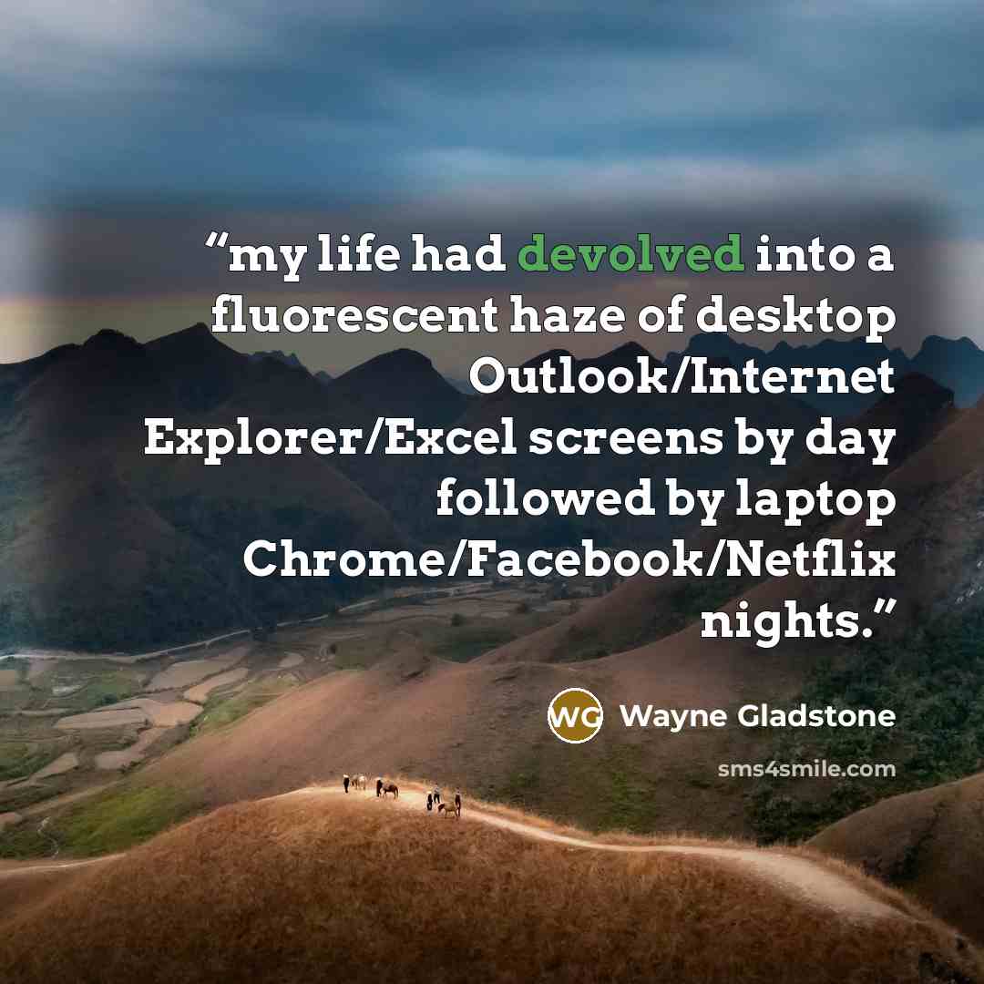 “my life had devolved into a fluorescent haze of desktop Outlook/Internet Explorer/Excel screens by day followed by laptop Chrome/Facebook/Netflix nights.” quote by Wayne Gladstone