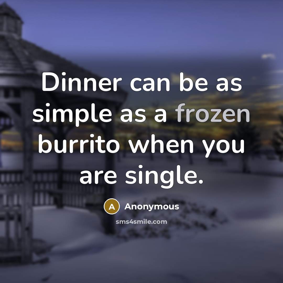 “Dinner can be as simple as a frozen burrito when you are single.” quote by Anonymous