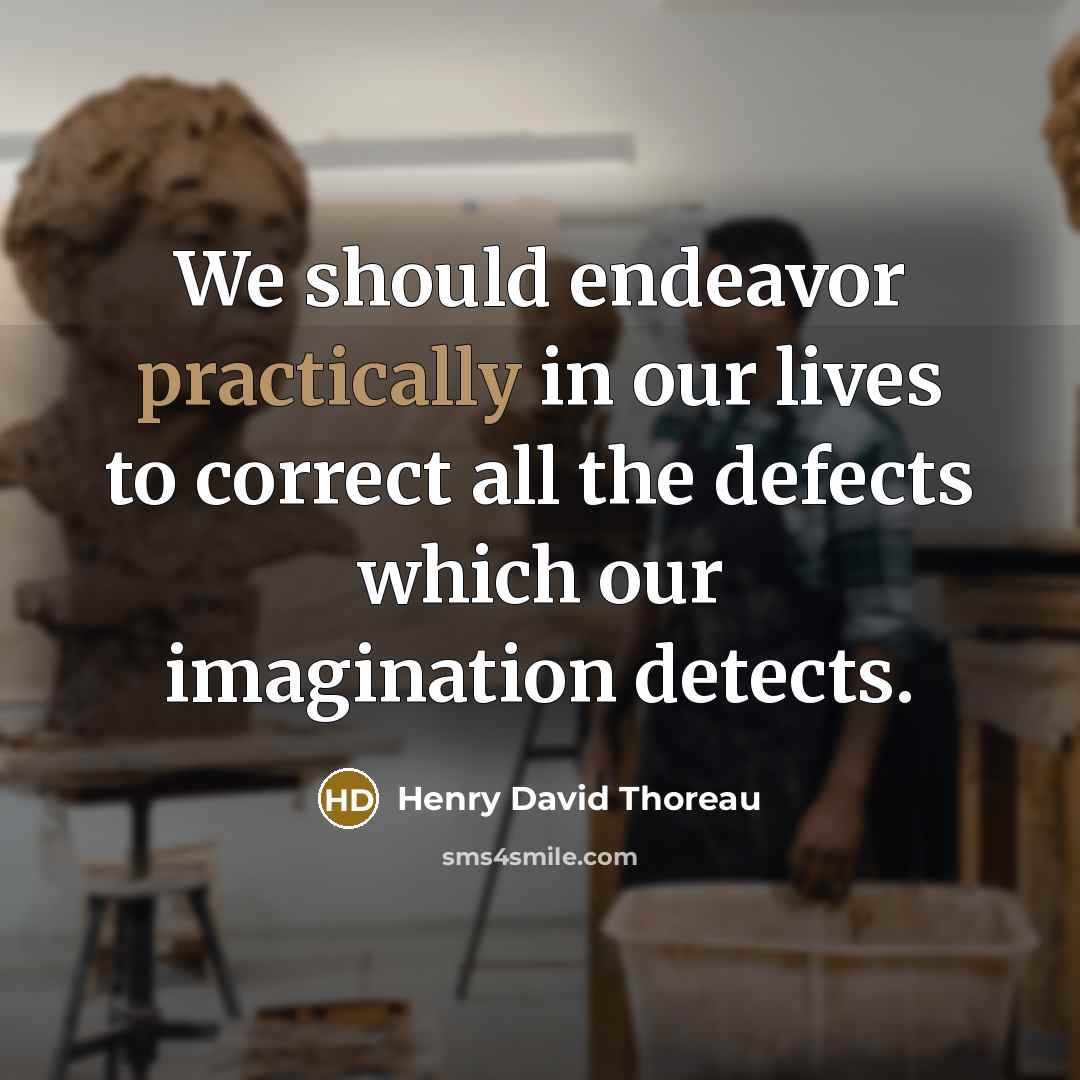“We should endeavor practically in our lives to correct all the defects which our imagination detects.” quote by Henry David Thoreau
