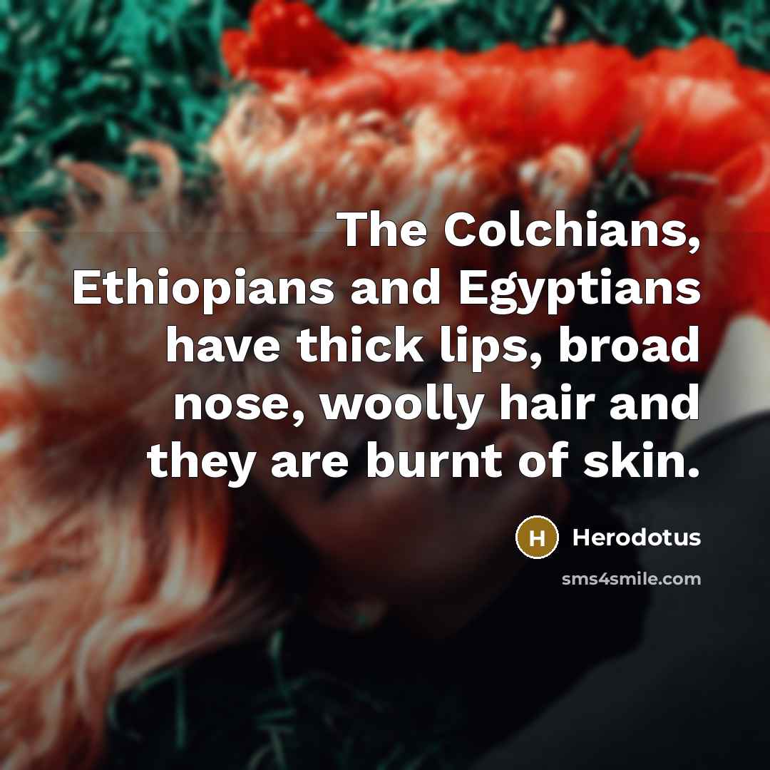 “The Colchians, Ethiopians and Egyptians have thick lips, broad nose, woolly hair and they are burnt of skin.” quote by Herodotus