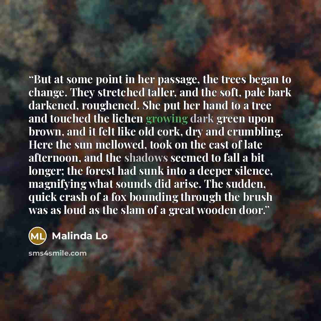 “But at some point in her passage, the trees began to change. They stretched taller, and the soft, pale bark darkened, roughened. She put her hand to a tree and touched the lichen growing dark green upon brown, and it felt like old cork, dry and crumbling. Here the sun mellowed, took on the cast of…” quote by Malinda Lo