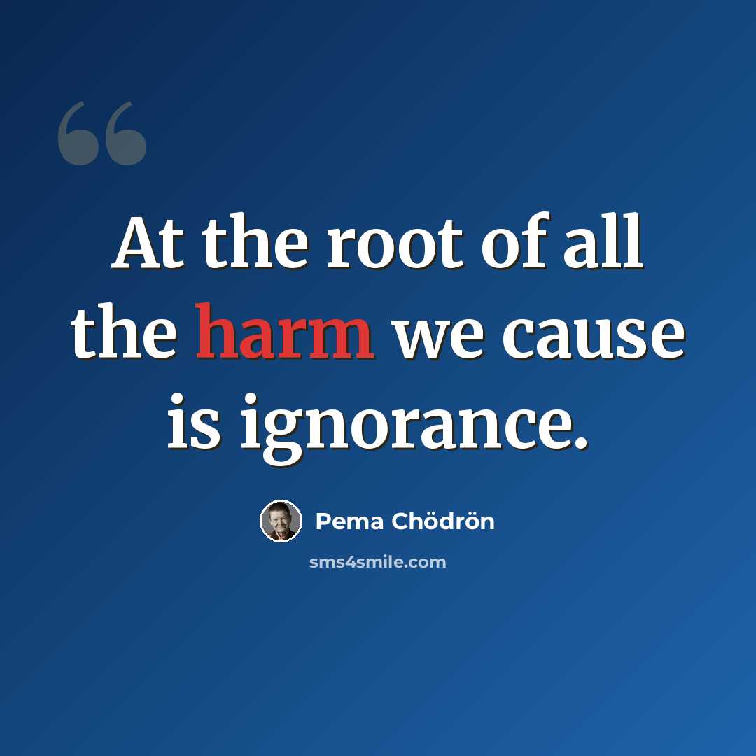 “At the root of all the harm we cause is ignorance.” quote by Pema Chodron