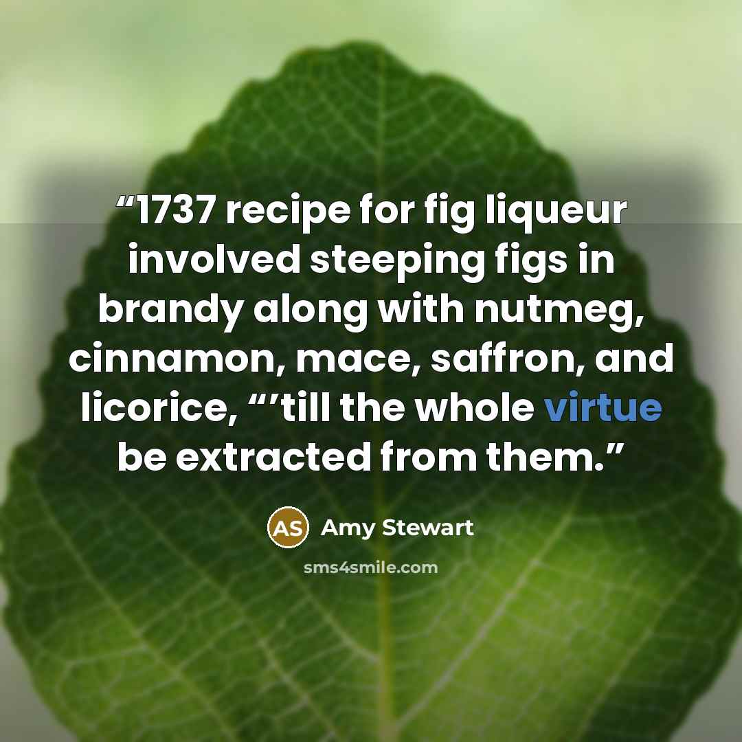“1737 recipe for fig liqueur involved steeping figs in brandy along with nutmeg, cinnamon, mace, saffron, and licorice, “’till the whole virtue be extracted from them.” quote by Amy Stewart