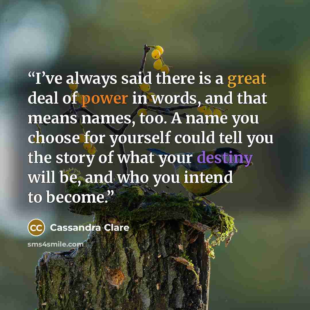 “I’ve always said there is a great deal of power in words, and that means names, too. A name you choose for yourself could tell you the story of what your destiny will be, and who you intend to become.” quote by Cassandra Clare