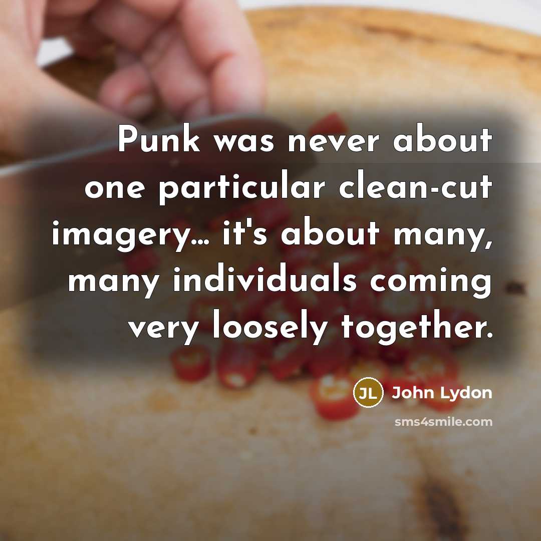 “Punk was never about one particular clean-cut imagery... it's about many, many individuals coming very loosely together.” quote by John Lydon
