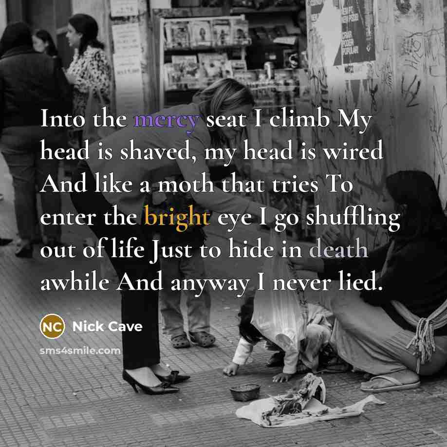 “Into the mercy seat I climb My head is shaved, my head is wired And like a moth that tries To enter the bright eye I go shuffling out of life Just to hide in death awhile And anyway I never lied.” quote by Nick Cave