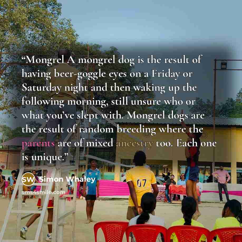 “Mongrel A mongrel dog is the result of having beer-goggle eyes on a Friday or Saturday night and then waking up the following morning, still unsure who or what you’ve slept with. Mongrel dogs are the result of random breeding where the parents are of mixed ancestry too. Each one is unique.” quote by Simon Whaley