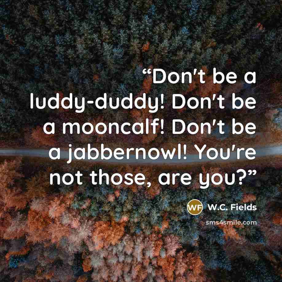 “Don't be a luddy-duddy! Don't be a mooncalf! Don't be a jabbernowl! You're not those, are you?” quote by W.C. Fields