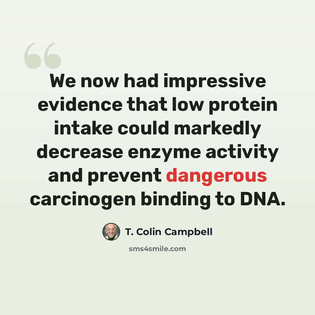 “We now had impressive evidence that low protein intake could markedly decrease enzyme activity and prevent dangerous carcinogen binding to DNA.” quote by T. Colin Campbell