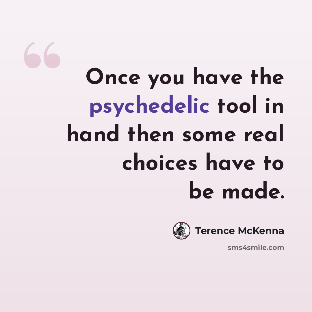 “Once you have the psychedelic tool in hand then some real choices have to be made.” quote by Terence McKenna