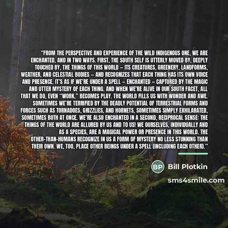 “From the perspective and experience of the Wild Indigenous One, we are enchanted, and in two ways. First, the South Self is utterly moved by, deeply touched by, the things of this world — its creatures, greenery, landforms, weather, and celestial bodies — and recognizes that each thing has its own…” quote by Bill Plotkin