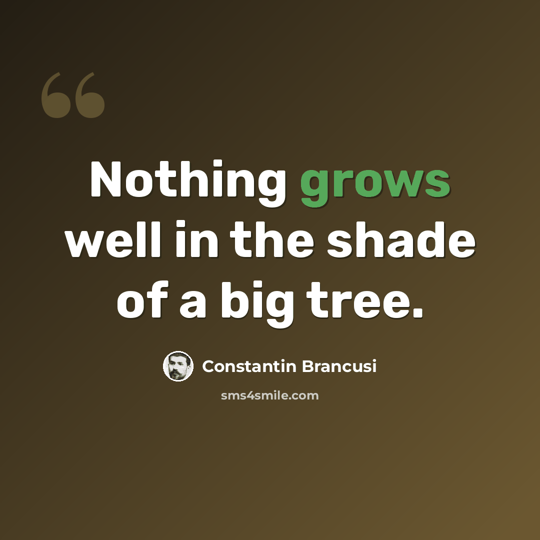 “Nothing grows well in the shade of a big tree.” quote by Constantin Brancusi