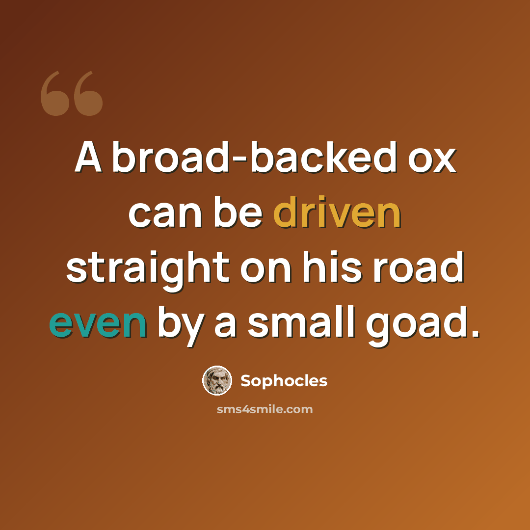 “A broad-backed ox can be driven straight on his road even by a small goad.” quote by Sophocles
