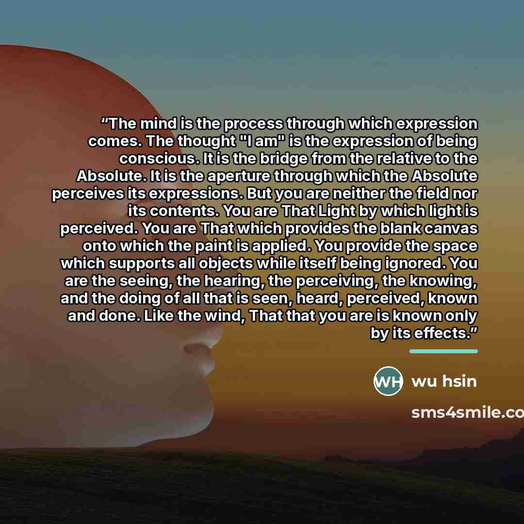 “The mind is the process through which expression comes. The thought "I am" is the expression of being conscious. It is the bridge from the relative to the Absolute. It is the aperture through which the Absolute perceives its expressions. But you are neither the field nor its contents. You are That…” quote by wu hsin