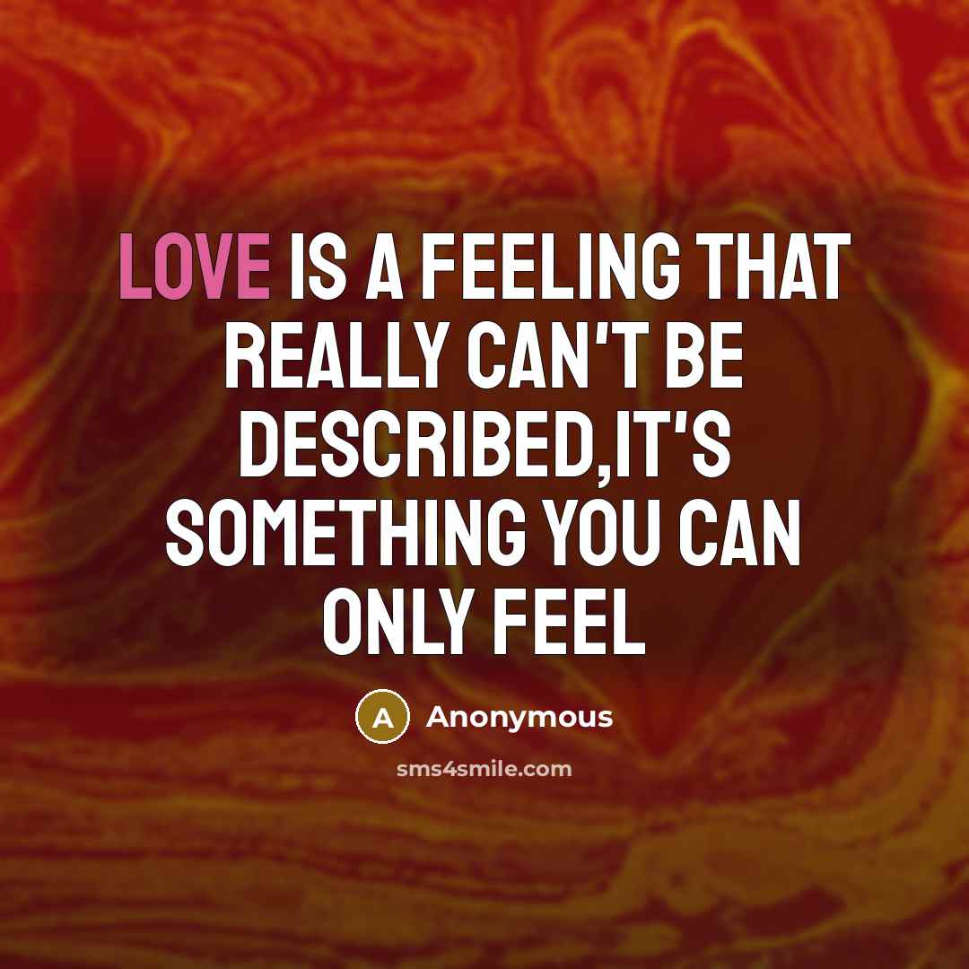 “Love is a feeling that really can't be described,it's something you can only feel” quote by Anonymous
