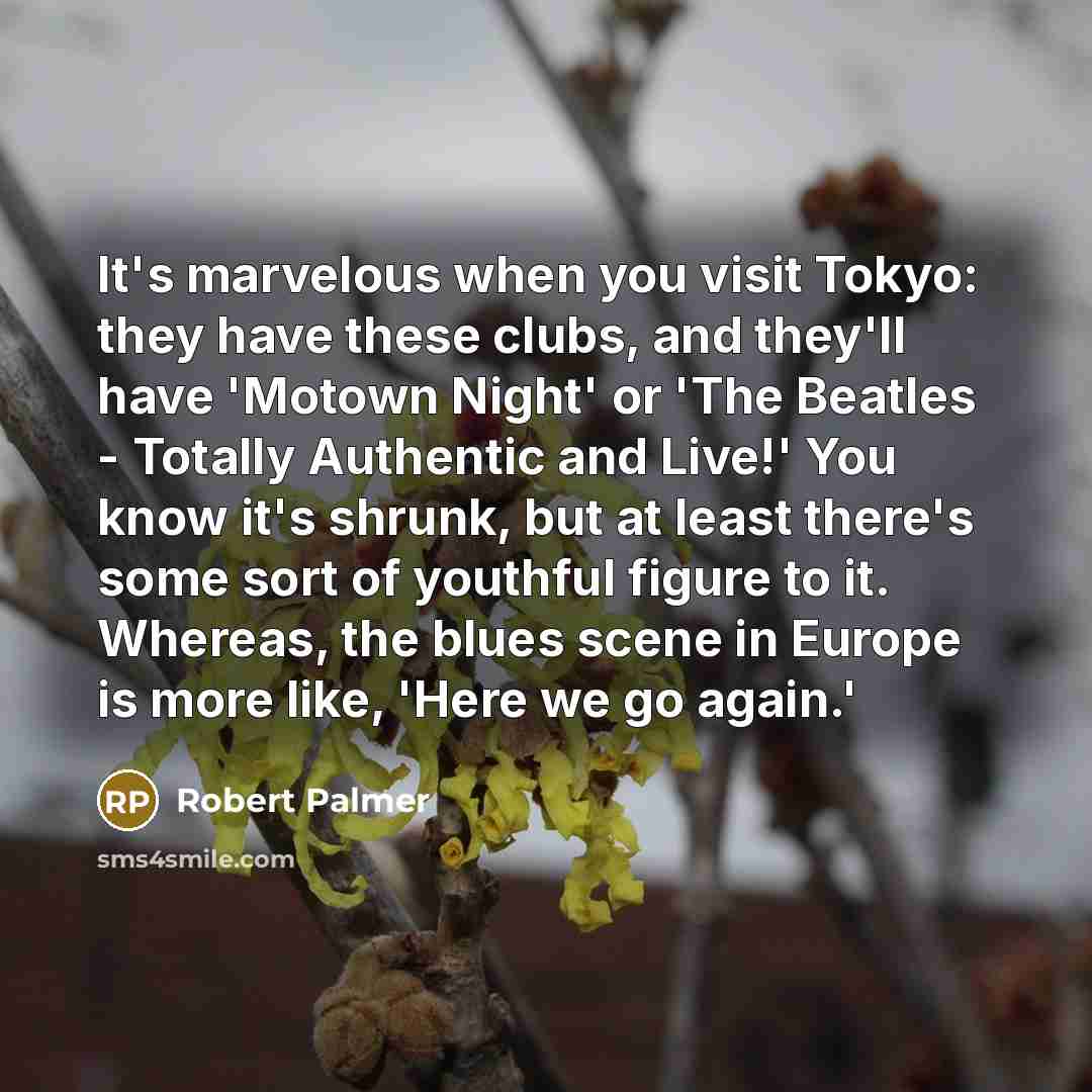 “It's marvelous when you visit Tokyo: they have these clubs, and they'll have 'Motown Night' or 'The Beatles - Totally Authentic and Live!' You know it's shrunk, but at least there's some sort of youthful figure to it. Whereas, the blues scene in Europe is more like, 'Here we go again.'” quote by Robert Palmer