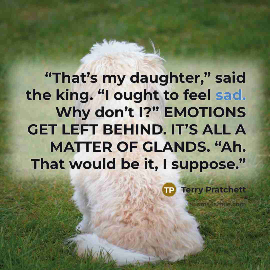 “That’s my daughter,” said the king. “I ought to feel sad. Why don’t I?” EMOTIONS GET LEFT BEHIND. IT’S ALL A MATTER OF GLANDS. “Ah. That would be it, I suppose.” quote by Terry Pratchett